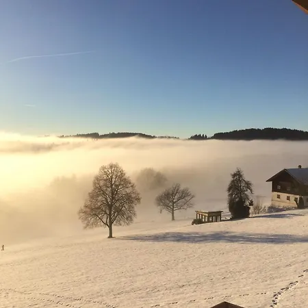 Im Bayerischen Wald Inkl Aktivcard 圣恩吉玛